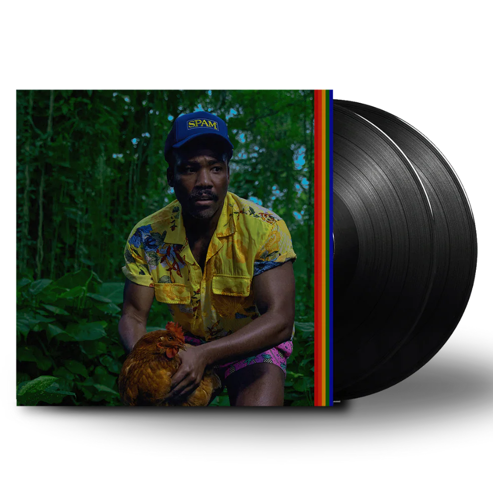 Childish Gambino - Bando Stone And The New World - Black Vinyl Record 2LP