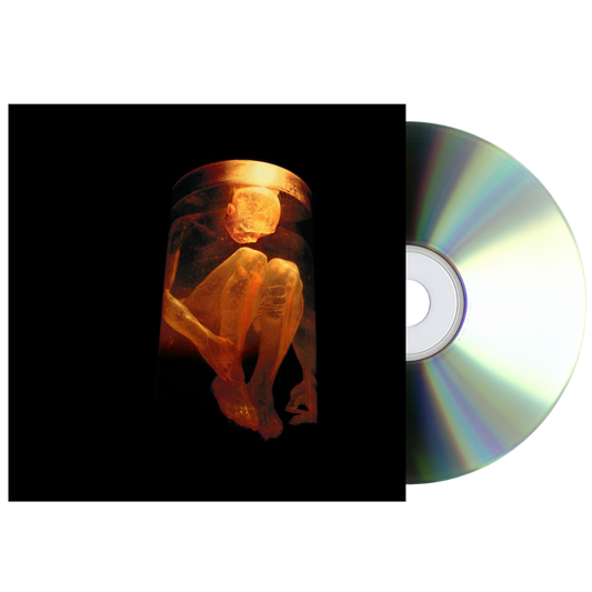 Alice In Chains - Nothing Safe: Best Of The Box - CD