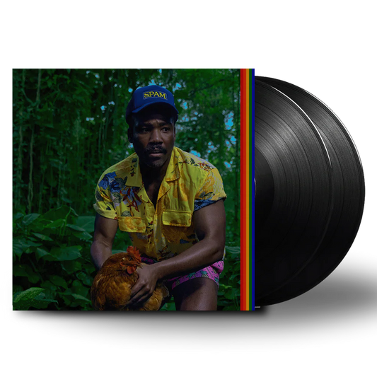 Childish Gambino - Bando Stone And The New World - Black Vinyl Record 2LP