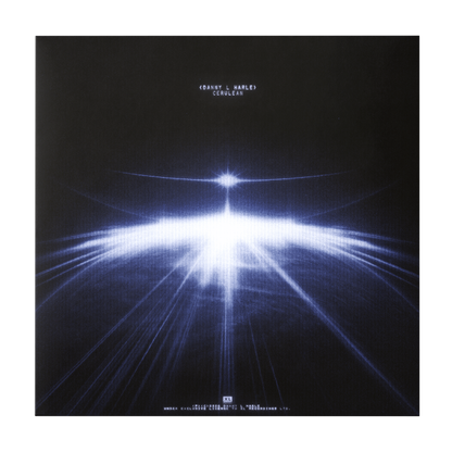 Danny L Harle - Cerulean - Black Vinyl Record