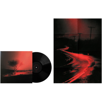 Joji - Piss In The Wind - Black Vinyl Record