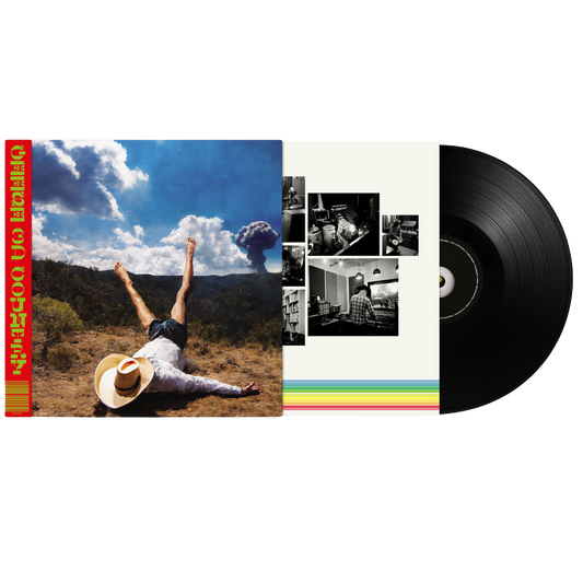 Geese - 3D Country - Black Vinyl