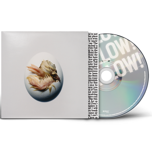 Shygirl - SWALLOW! - CD