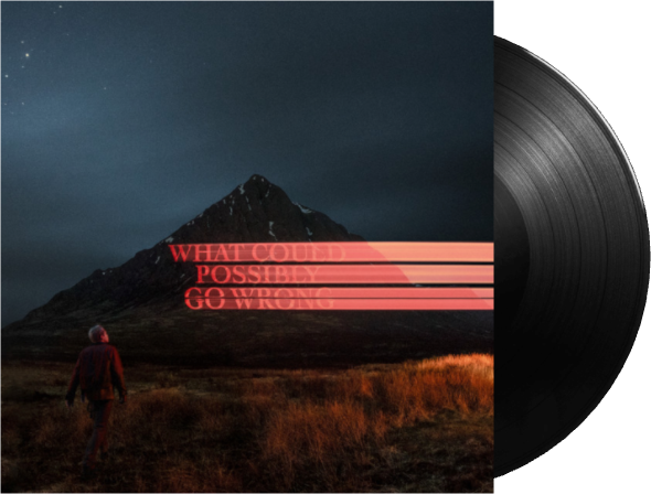 Dominic Fike - What Could Possibly Go Wrong - Black Vinyl
