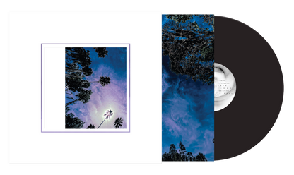 Slipknot - Look Outside Your Window - Black Vinyl