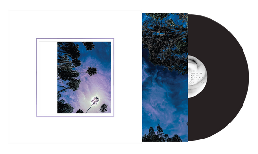 Slipknot - Look Outside Your Window - Black Vinyl