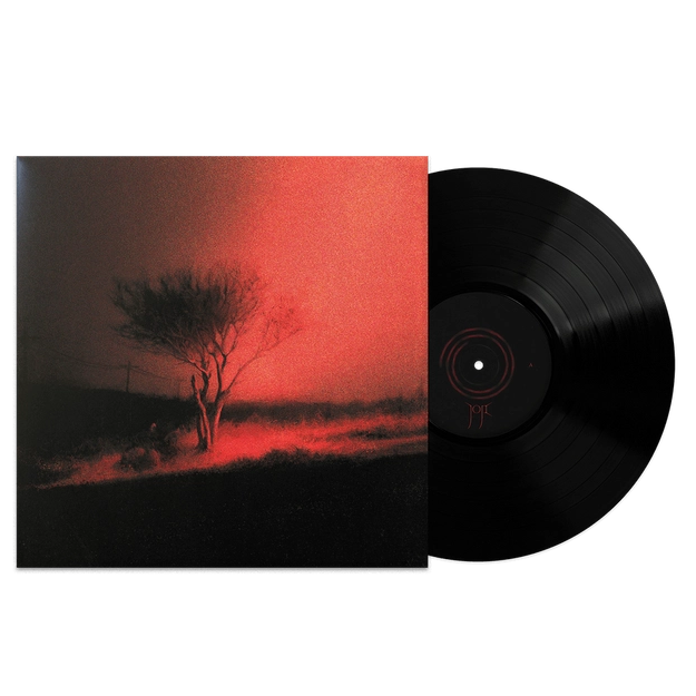 Joji - Piss In The Wind - Black Vinyl Record