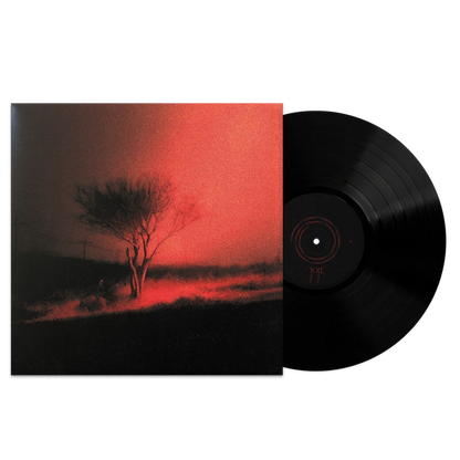 Joji - Piss In The Wind - Black Vinyl Record